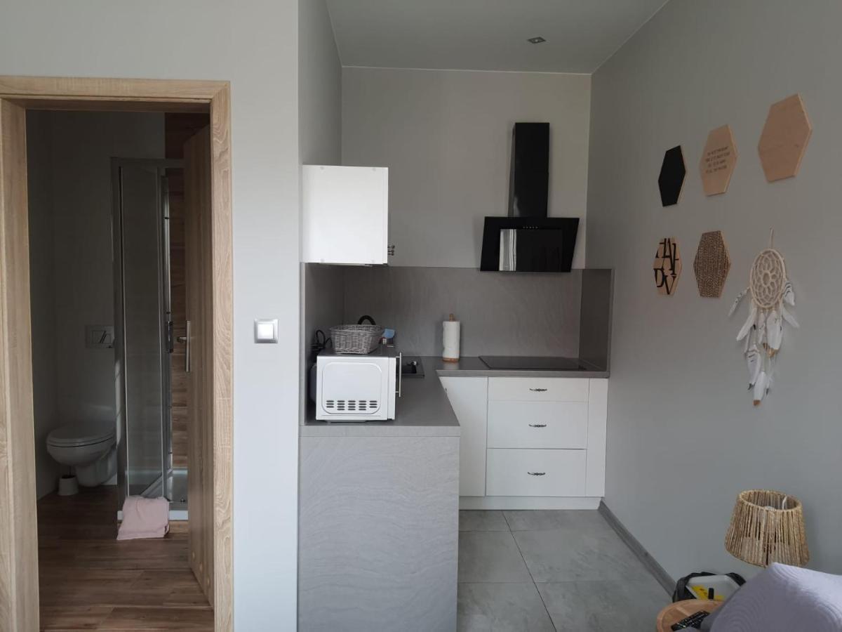 Apartamenty Deptak - W Centrum Karpacza, Parking W Cenie! Eksteriør billede